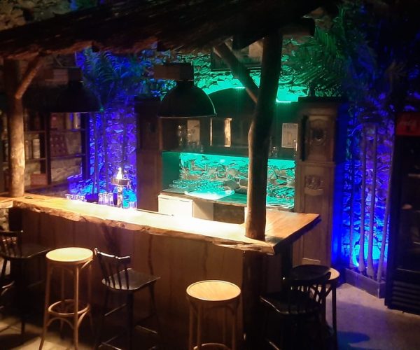 347557533_649264700531866_7696740606566049883_n