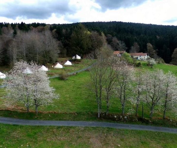 RemasterDirector_22abe5b5f